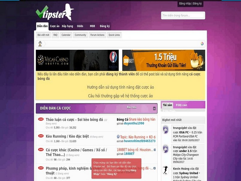 Hội cá độ Vtipster Hội cá độ Vtipster