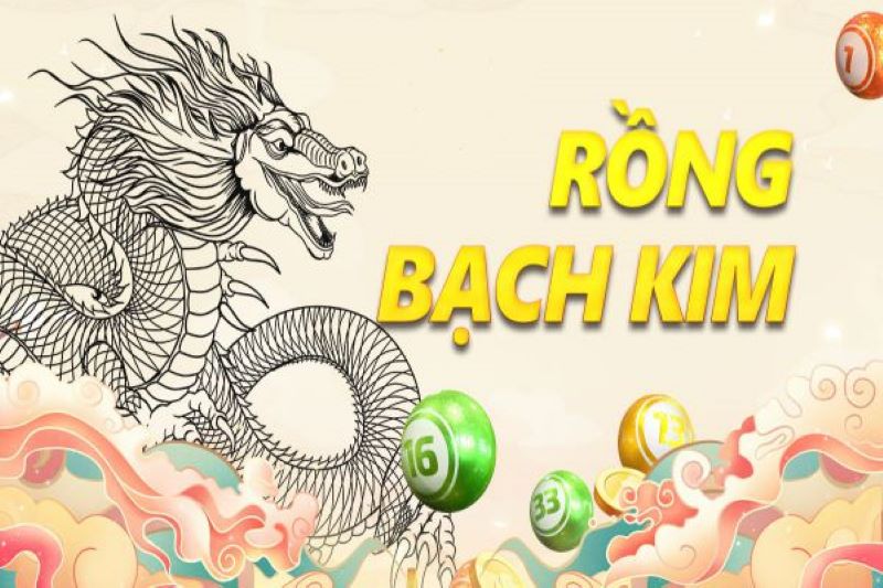 Soi cầu rồng bạch kim 666