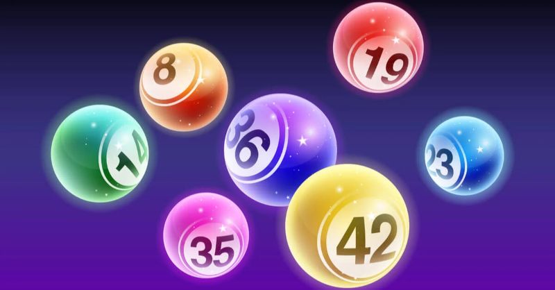 Ưu điểm và hạn chế khi nuôi bạch thủ lô kép khung 2 ngày