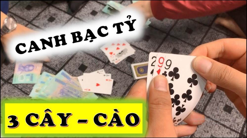 Học cách chia bài 3 cây điểm cao để mang về lợi thế cho mình trong những canh bạc.