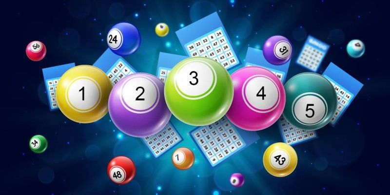 Cách nuôi lô khung 1 ngày đang rất HOT