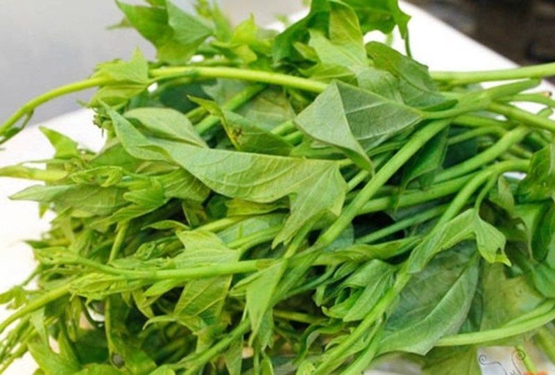 Giấc mơ cho thấy bạn là người ôn hòa, tốt bụng 