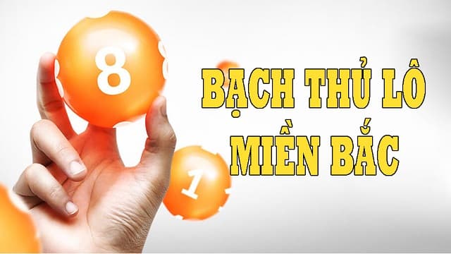 Bạch thủ lô là gì? Bạch thủ lô hôm nay đánh gì dễ ăn nhất? 11 Lựa chọn con số chính xác hôm nay