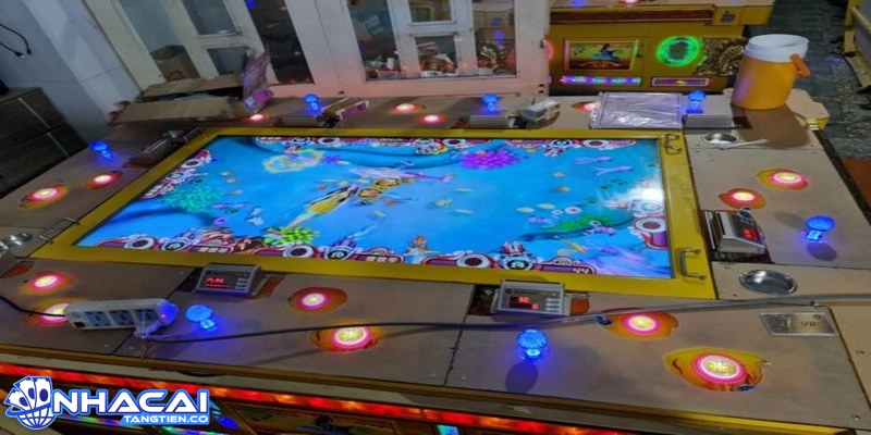 Chọn con cá nhỏ để dễ dàng bắn