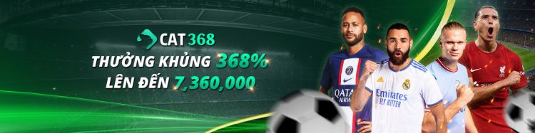 tong-hop-uu-dai-cat368-3