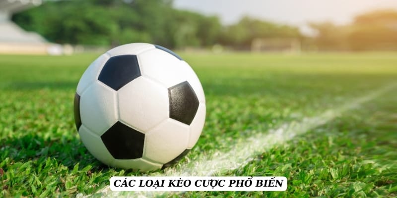 ty-le-keo-cac-loai-keo-pho-bien