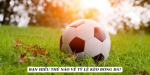 ty-le-keo-hieu-ro-khai-niem