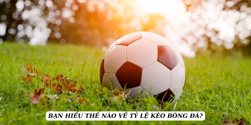 ty-le-keo-hieu-ro-khai-niem