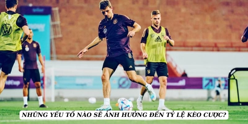 ty-le-keo-yeu-to-anh-huong-keo-cuoc